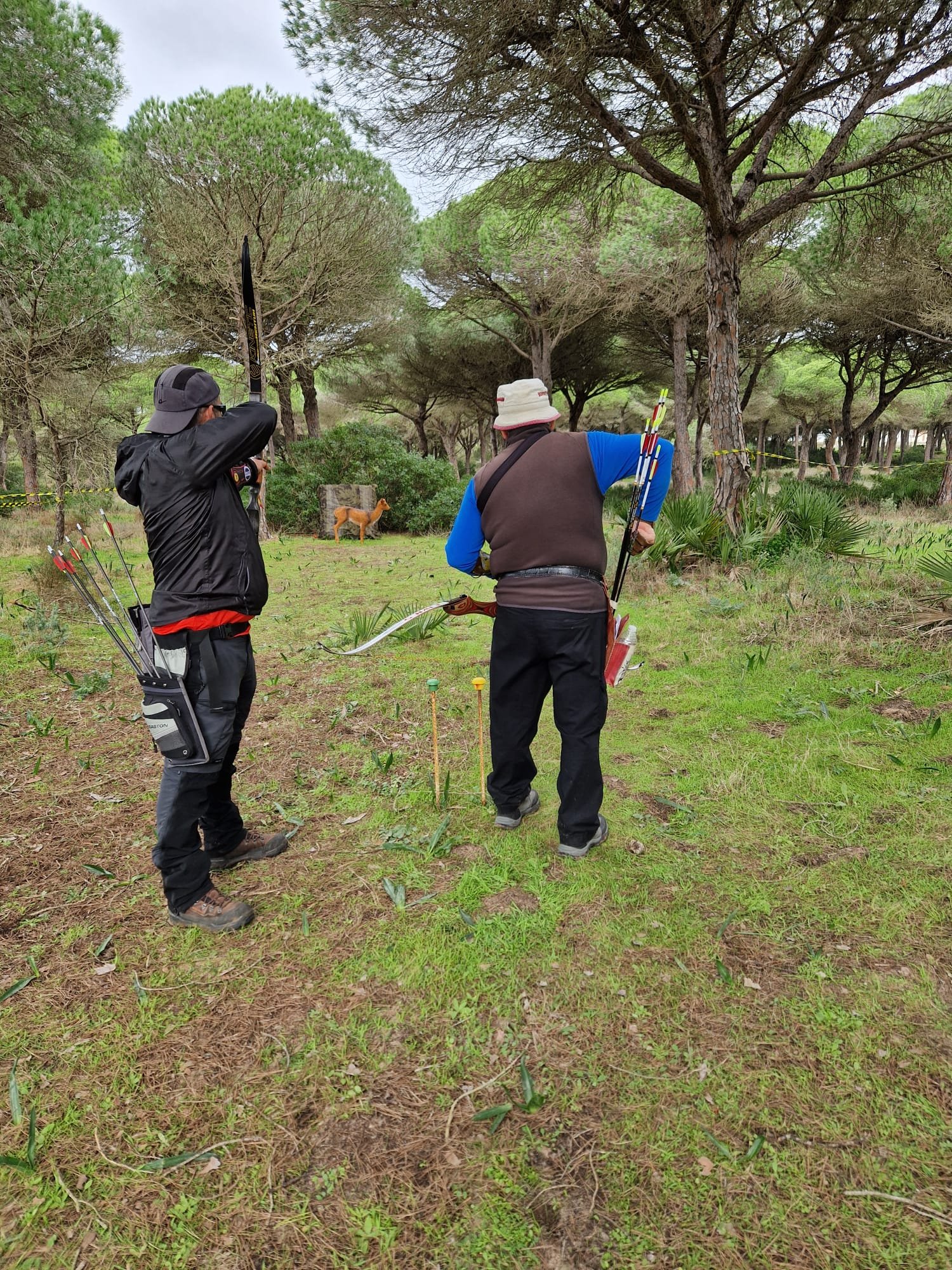 Arquero disparando en el bosque